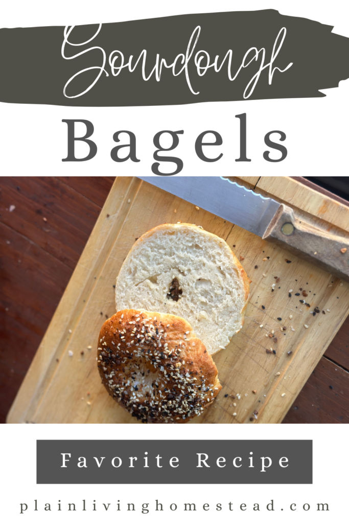 our favorite sourdough bagel recipe