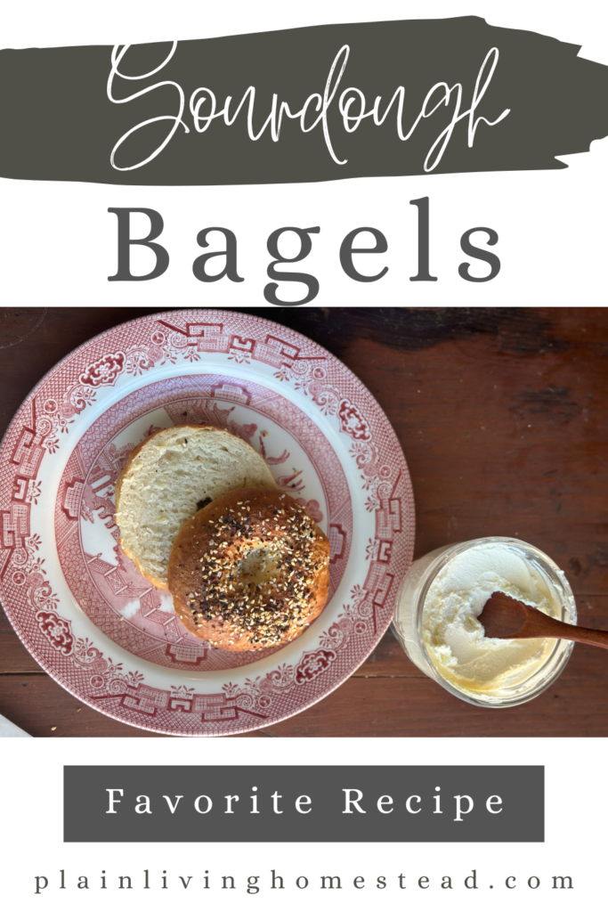 Read about our family favorite sourdough bagel recipe