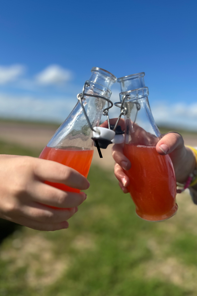 swing top jars for lemonade