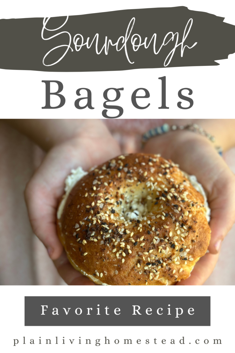 Family Favorite Sourdough Bagel Recipe