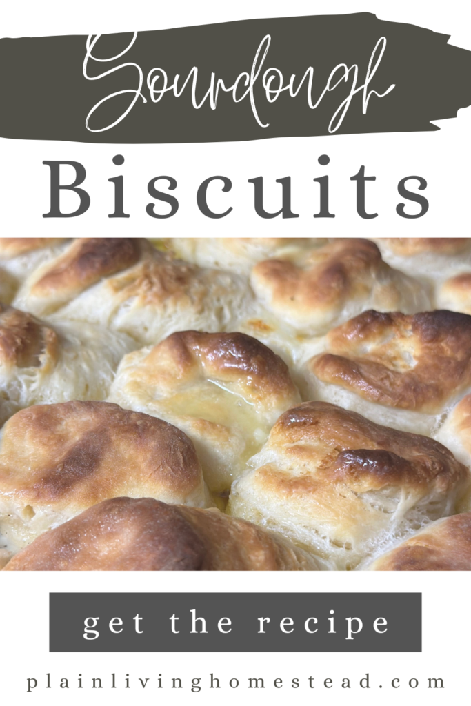 Sourdough biscuit recipe