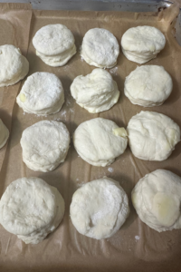 line sourdough biscuits on a pan