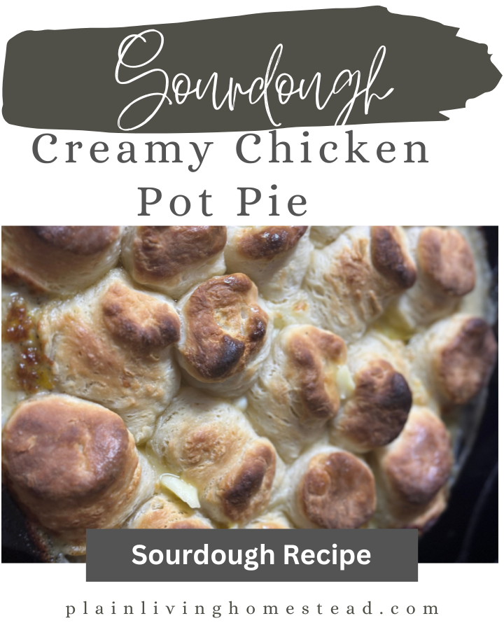 Best Recipe for Sourdough Biscuits On Chicken Pot Pie