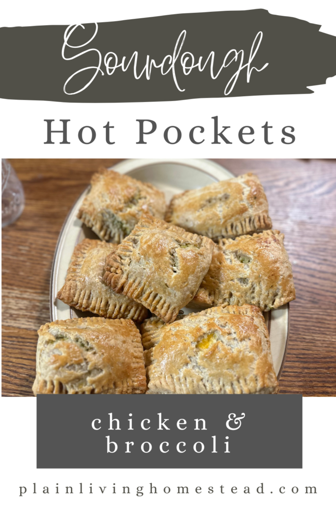 sourdough chicken broccoli hot pockets