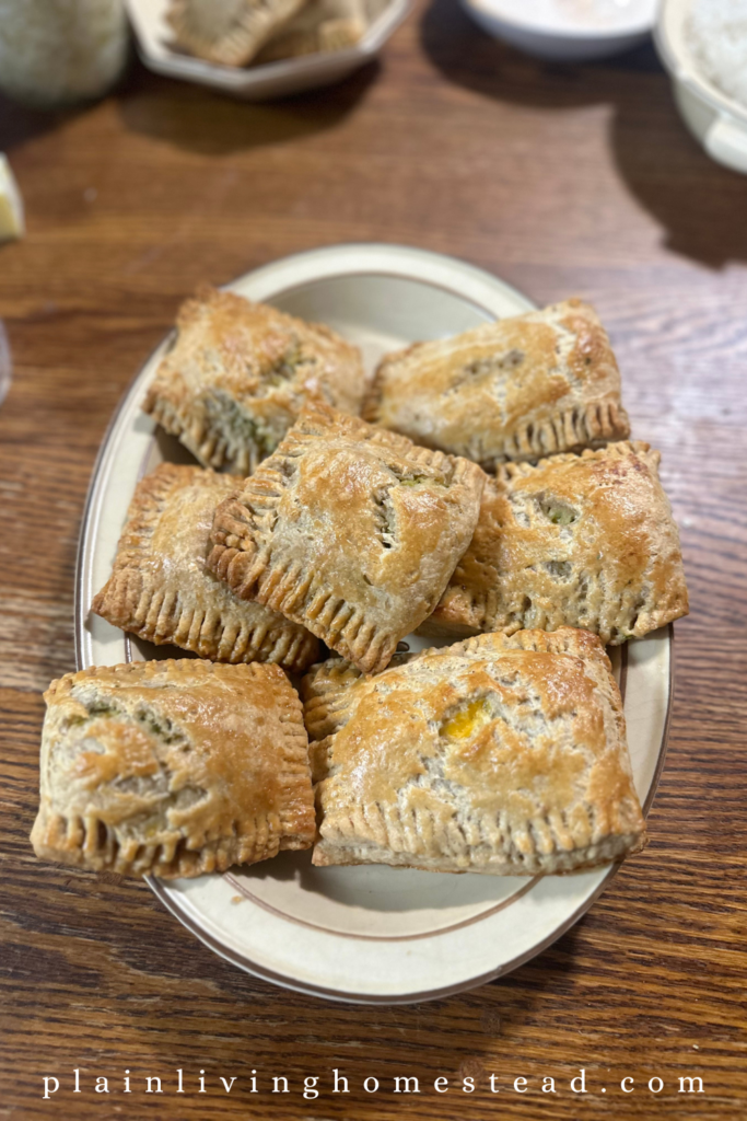 Sourdough chicken  hot pockets