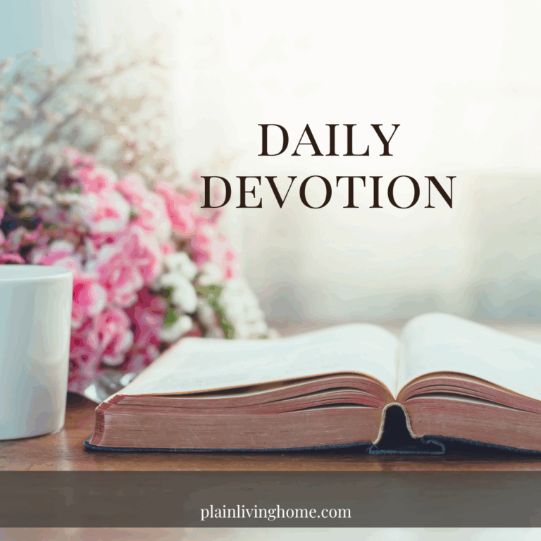 daily devotions from my bible studies in about 200 words
