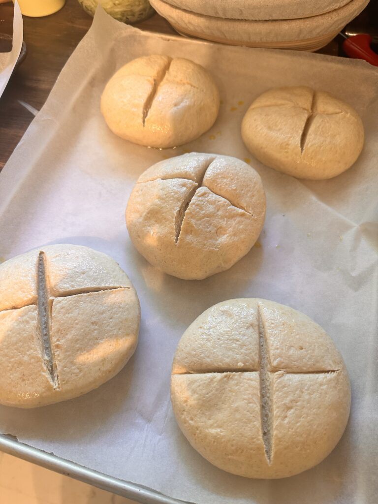 sourdough loaves after fermentation