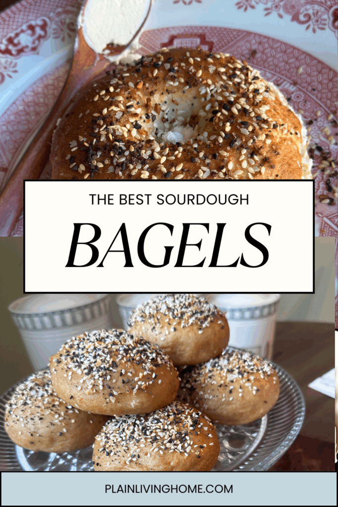 sourdough bagels with everything seasoning, served on a cake platter