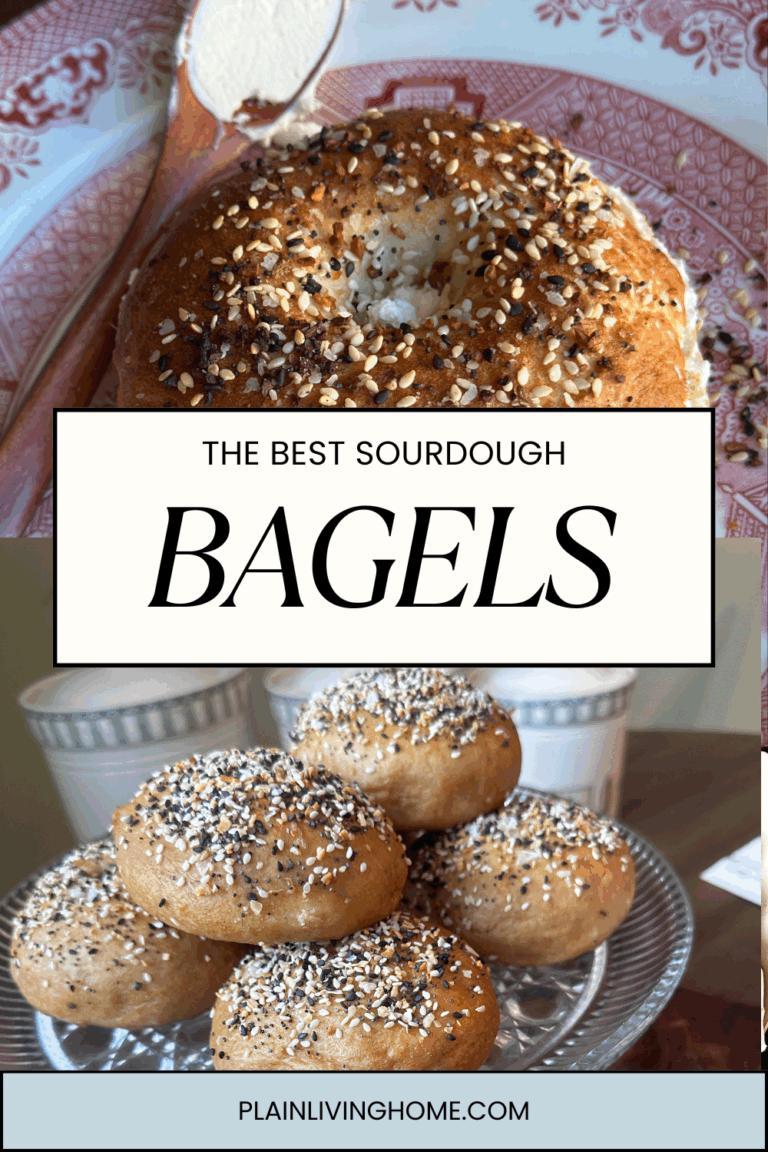 sourdough bagels with everything seasoning, served on a cake platter