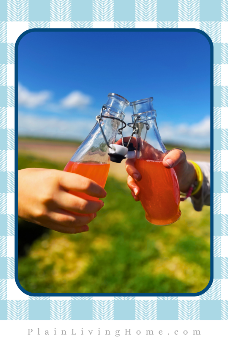 Homemade Strawberry Lemonade Concentrate and How to Can It