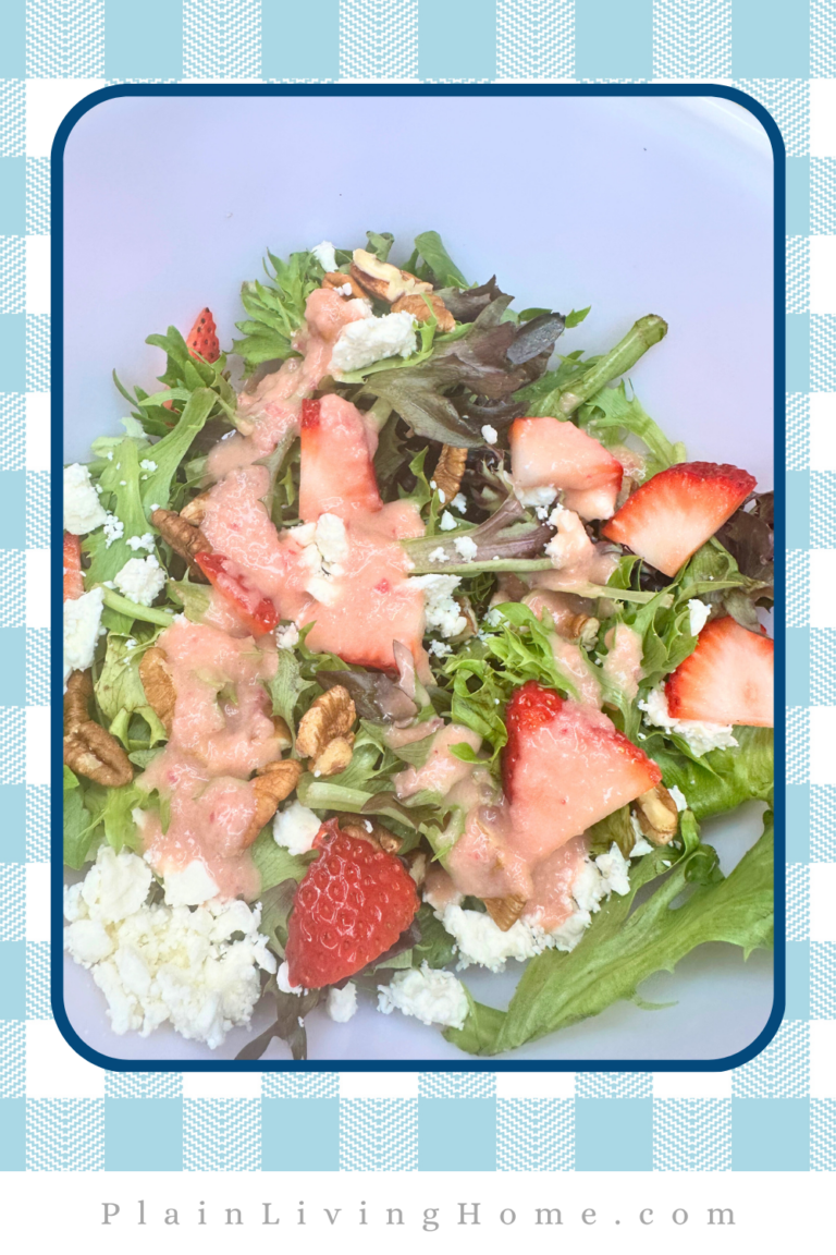 Homemade Sweet Red Onion Vinaigrette (Easy From Scratch )